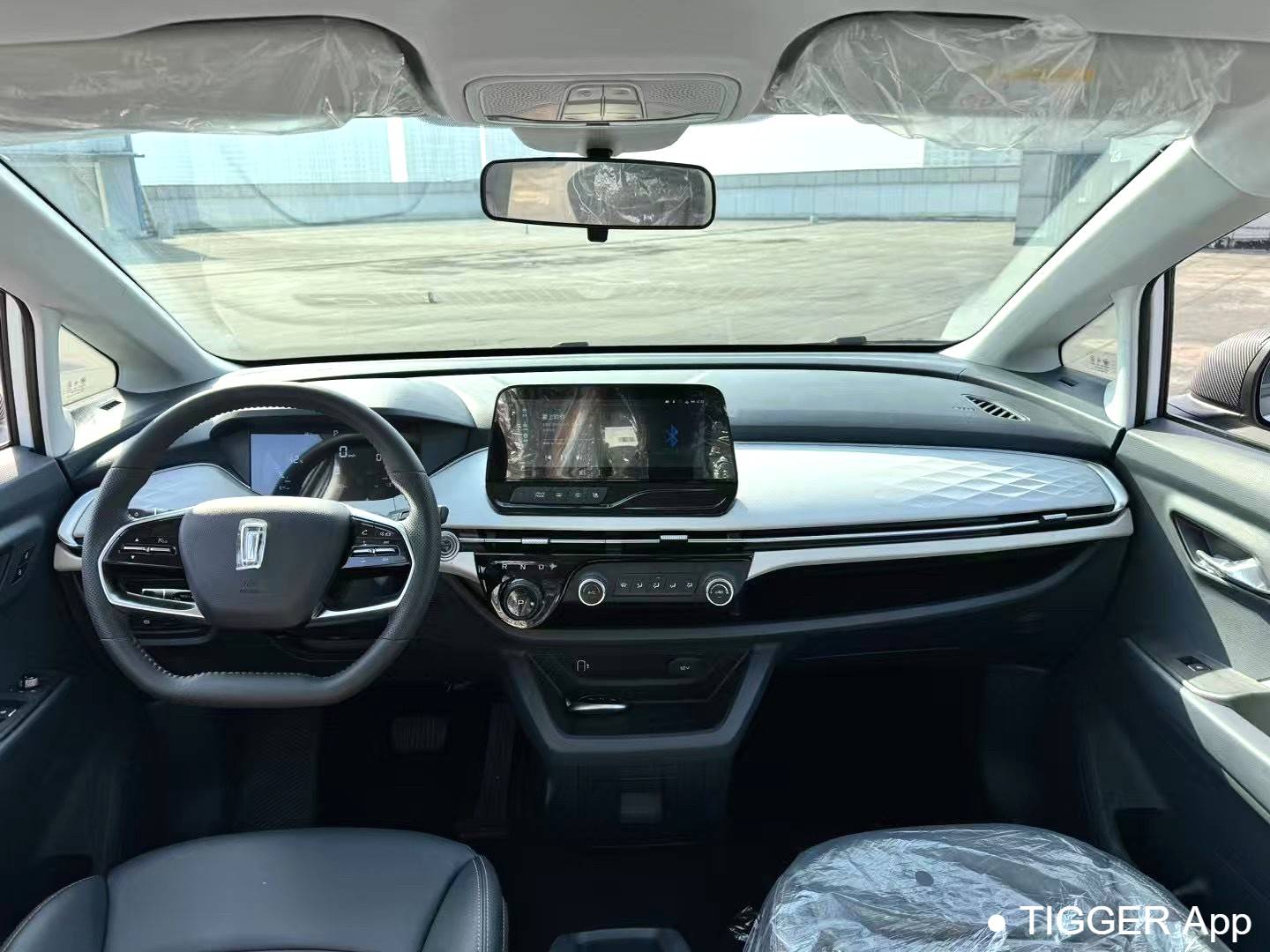 BESTUNE 2023 NAT PRO Enjoyment Travel Extended Battery Swap Edition 401km