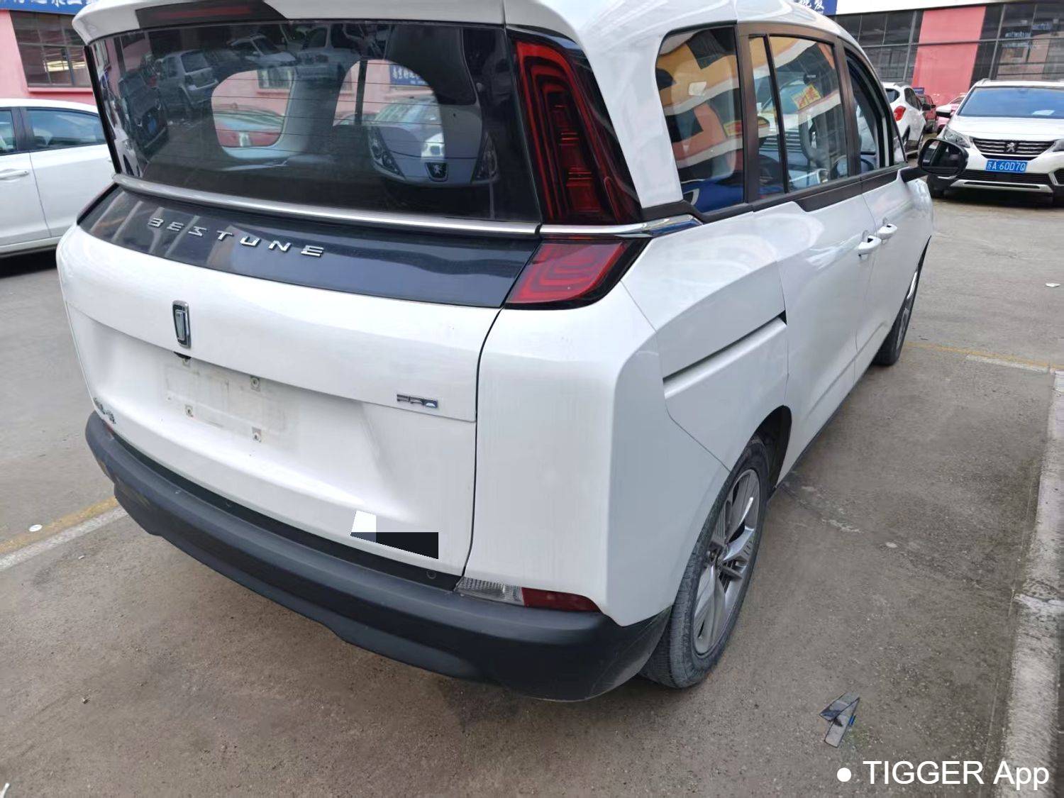 BESTUNE 2023 NAT PRO Comfort Travel Edition 419km