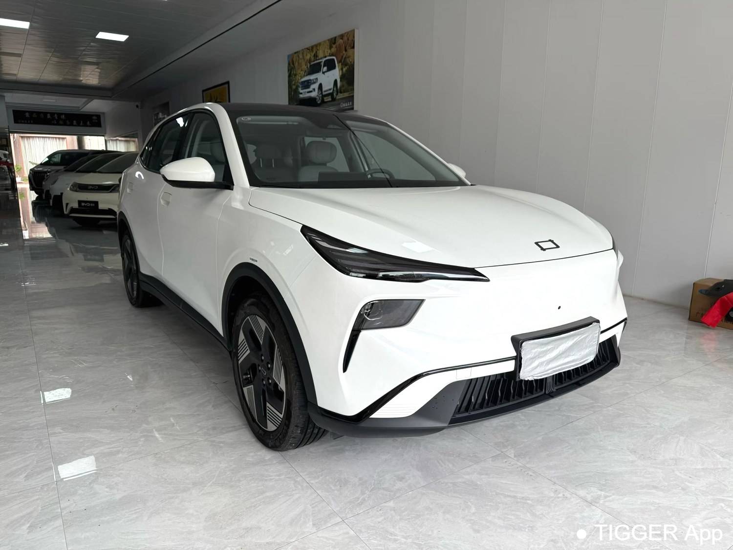 BESTUNE 2025 Yueyi 03 565km Ultimate Edition