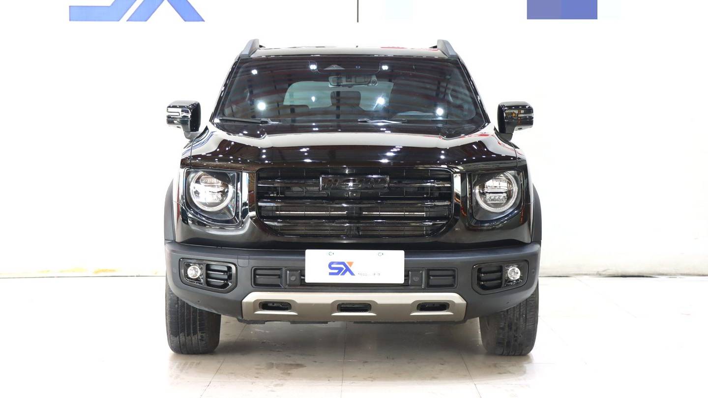 HAVAL 2022 DARGO 2.0T DCT 4WD Chinese Rural Dog Edition