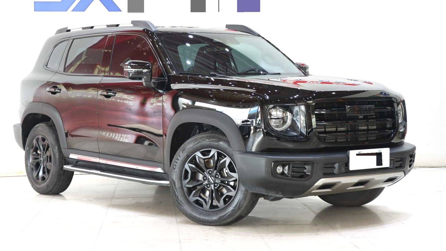 HAVAL 2022 DARGO 2.0T DCT 4WD Chinese Rural Dog Edition