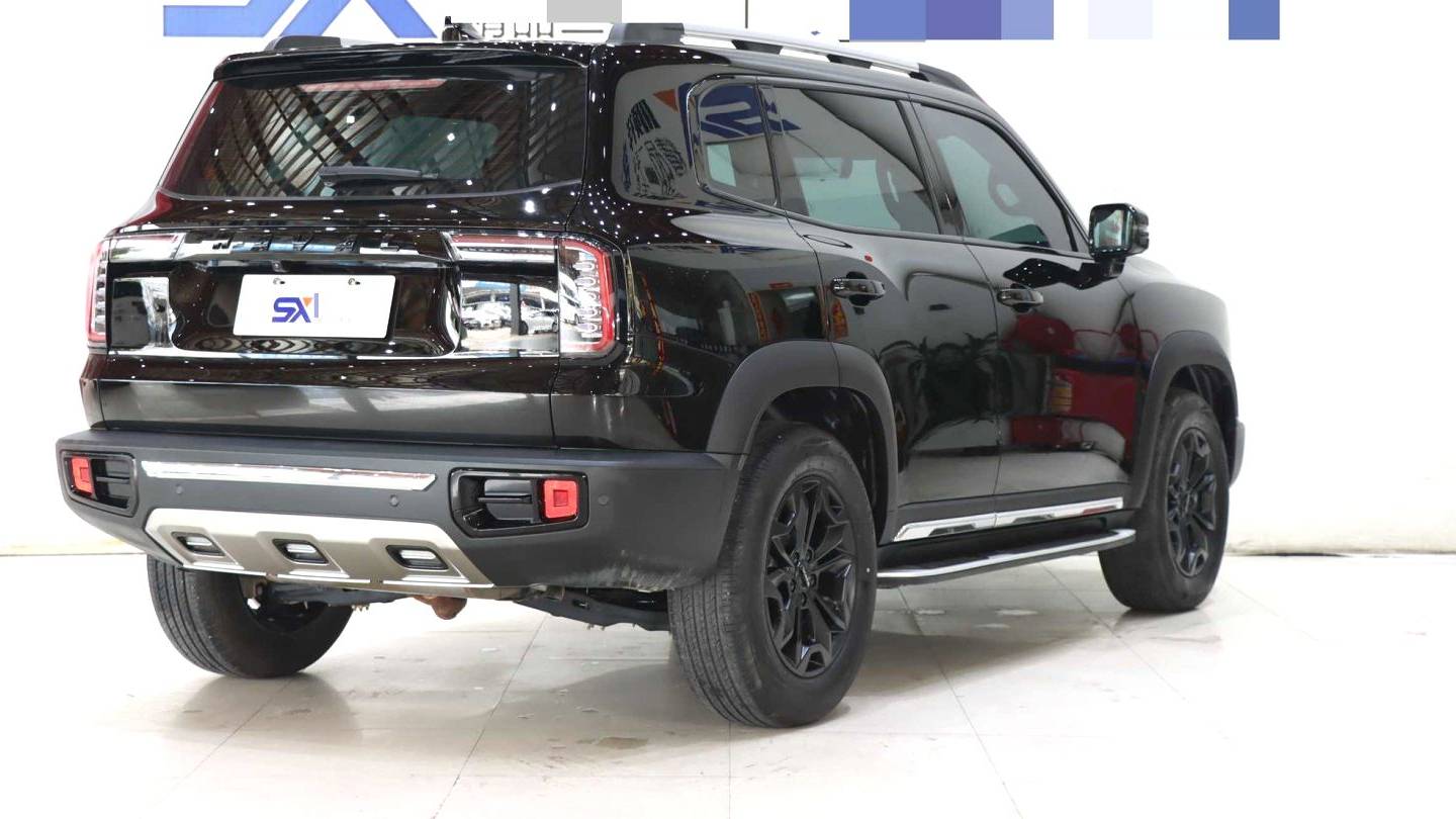 HAVAL 2022 DARGO 2.0T DCT 4WD Chinese Rural Dog Edition