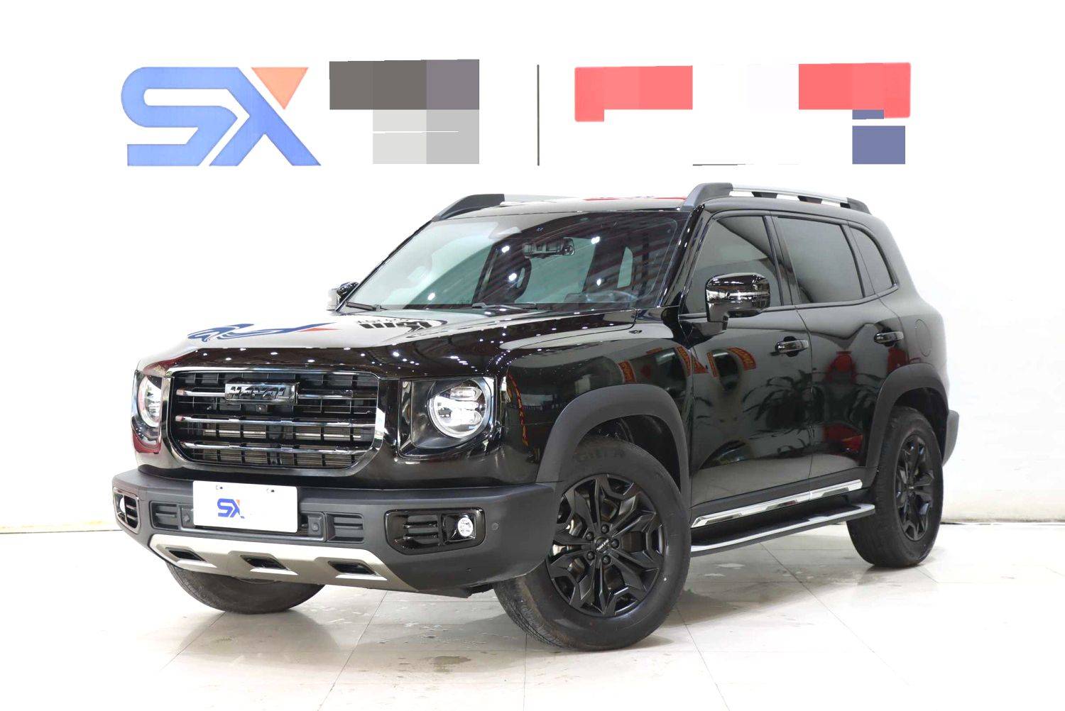 HAVAL 2022 DARGO 2.0T DCT 4WD Chinese Rural Dog Edition