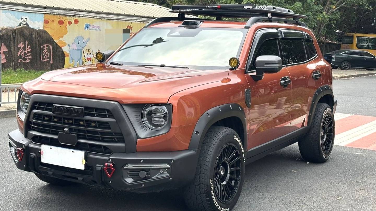 HAVAL 2024 DARGO 2.0T DCT Chinese Rural Dog Edition