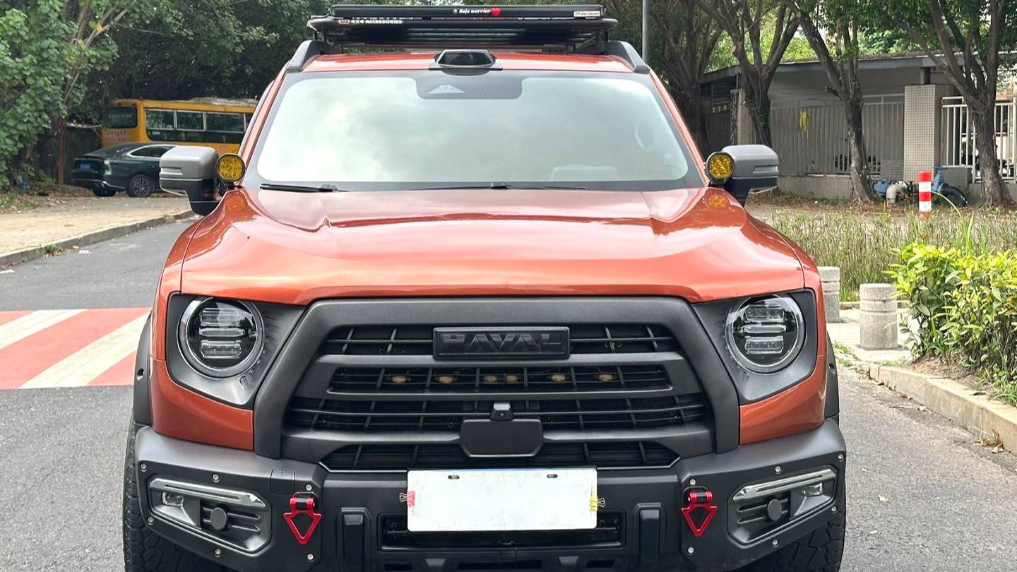 HAVAL 2024 DARGO 2.0T DCT Chinese Rural Dog Edition