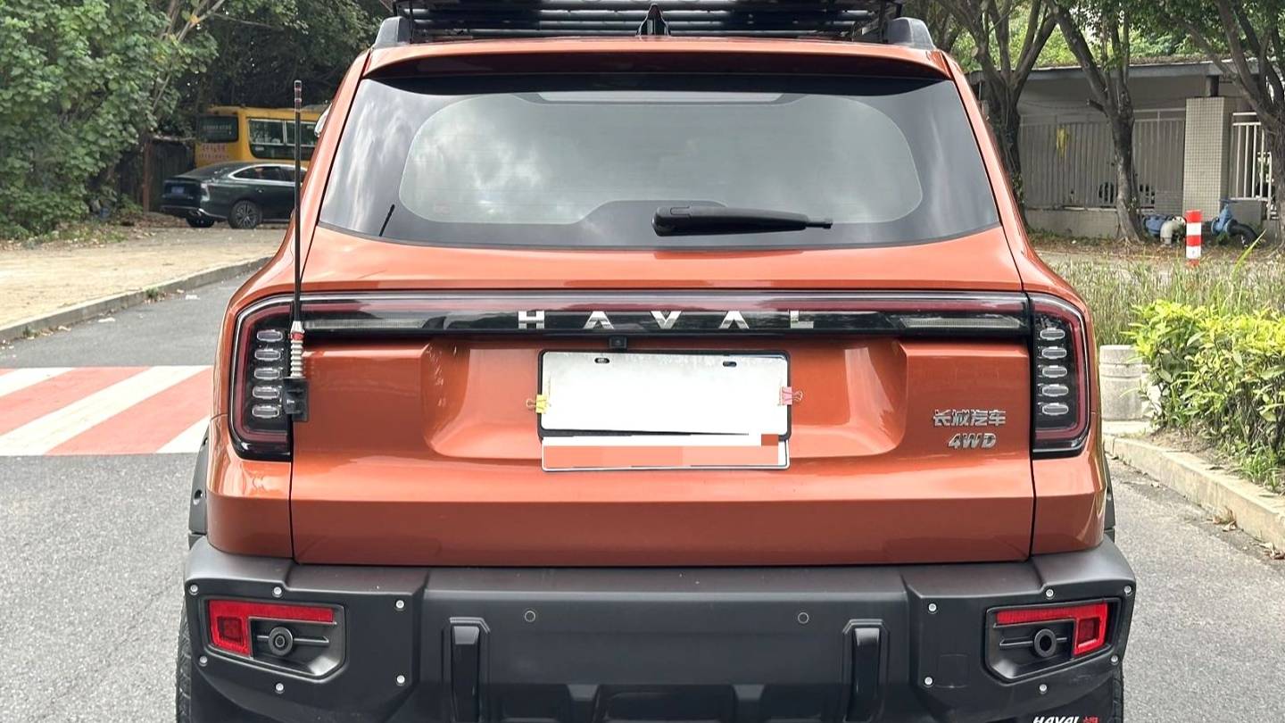 HAVAL 2024 DARGO 2.0T DCT Chinese Rural Dog Edition