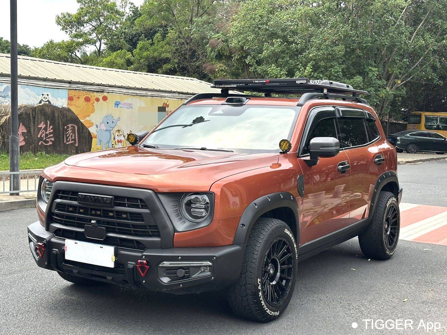 HAVAL 2024 DARGO 2.0T DCT Chinese Rural Dog Edition