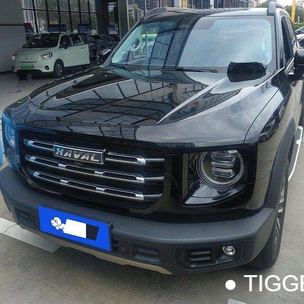 HAVAL 2022 DARGO 1.5T DCT two wheel drive hunting version for horse dogs Подержанный автомобиль