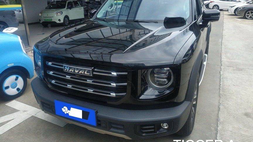 HAVAL 2022 DARGO 1.5T DCT two wheel drive hunting version for horse dogs