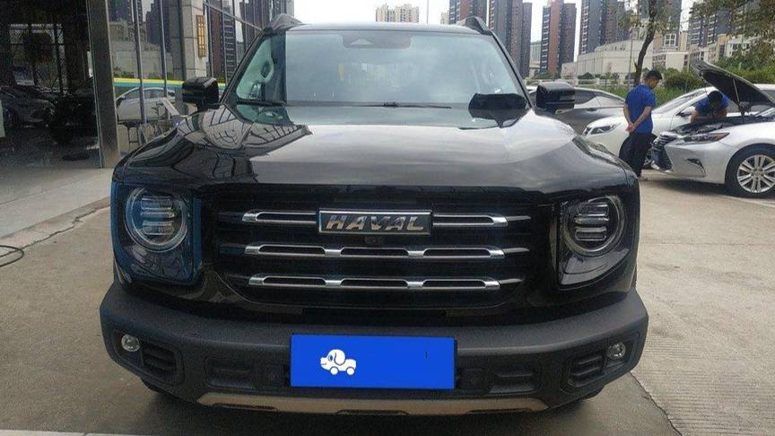 HAVAL 2022 DARGO 1.5T DCT two wheel drive hunting version for horse dogs