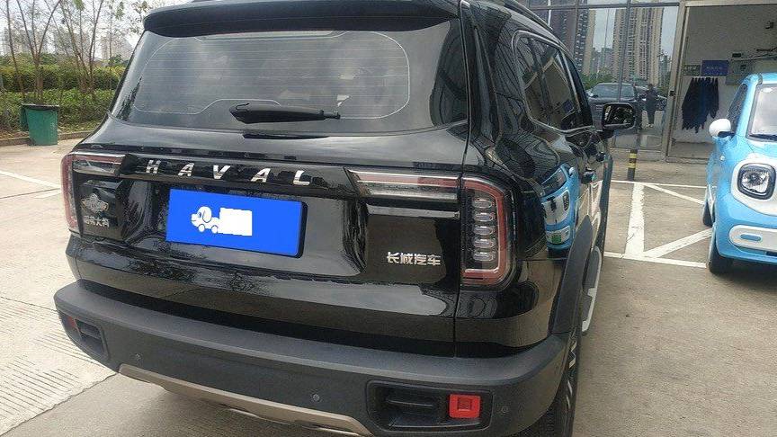 HAVAL 2022 DARGO 1.5T DCT two wheel drive hunting version for horse dogs