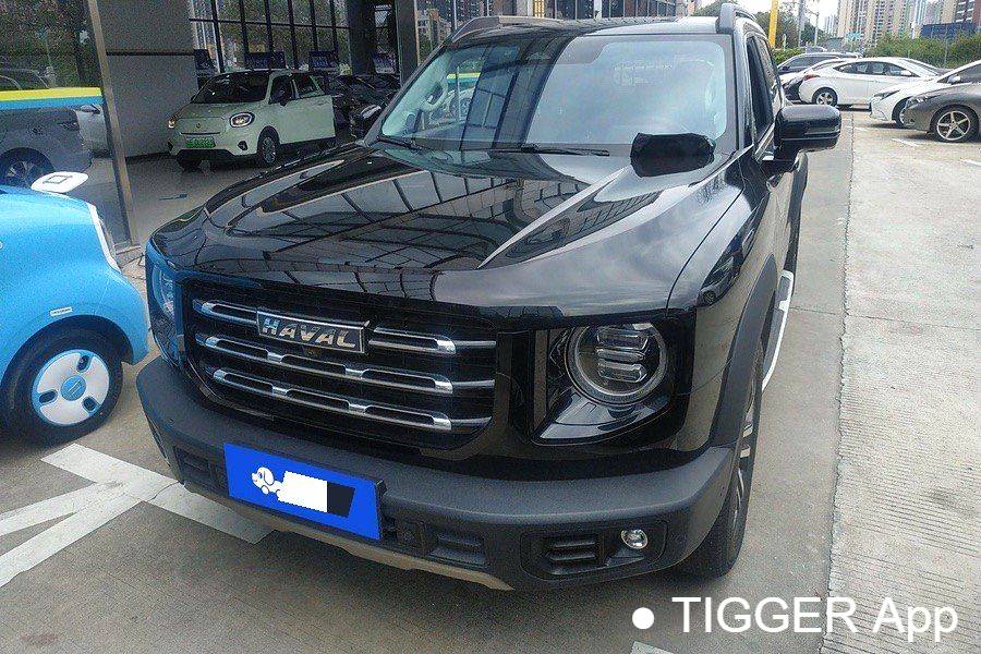 HAVAL 2022 DARGO 1.5T DCT two wheel drive hunting version for horse dogs