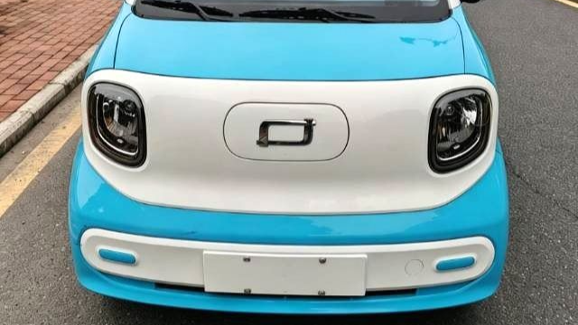 BESTUNE 2024 Penteng Pony 170km Vitality Horse