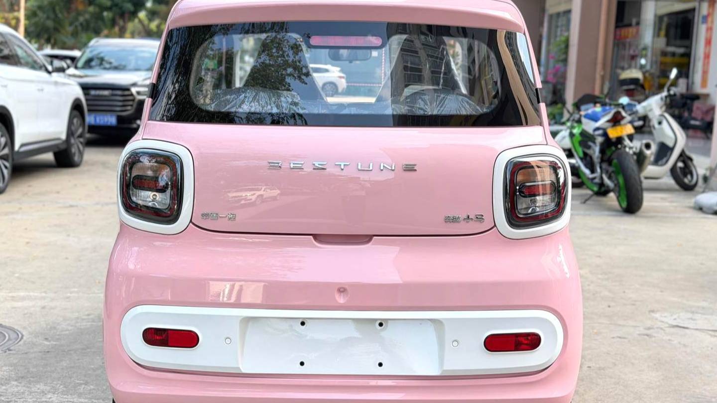 BESTUNE 2026 Penteng Pony 222km Glorious Horse