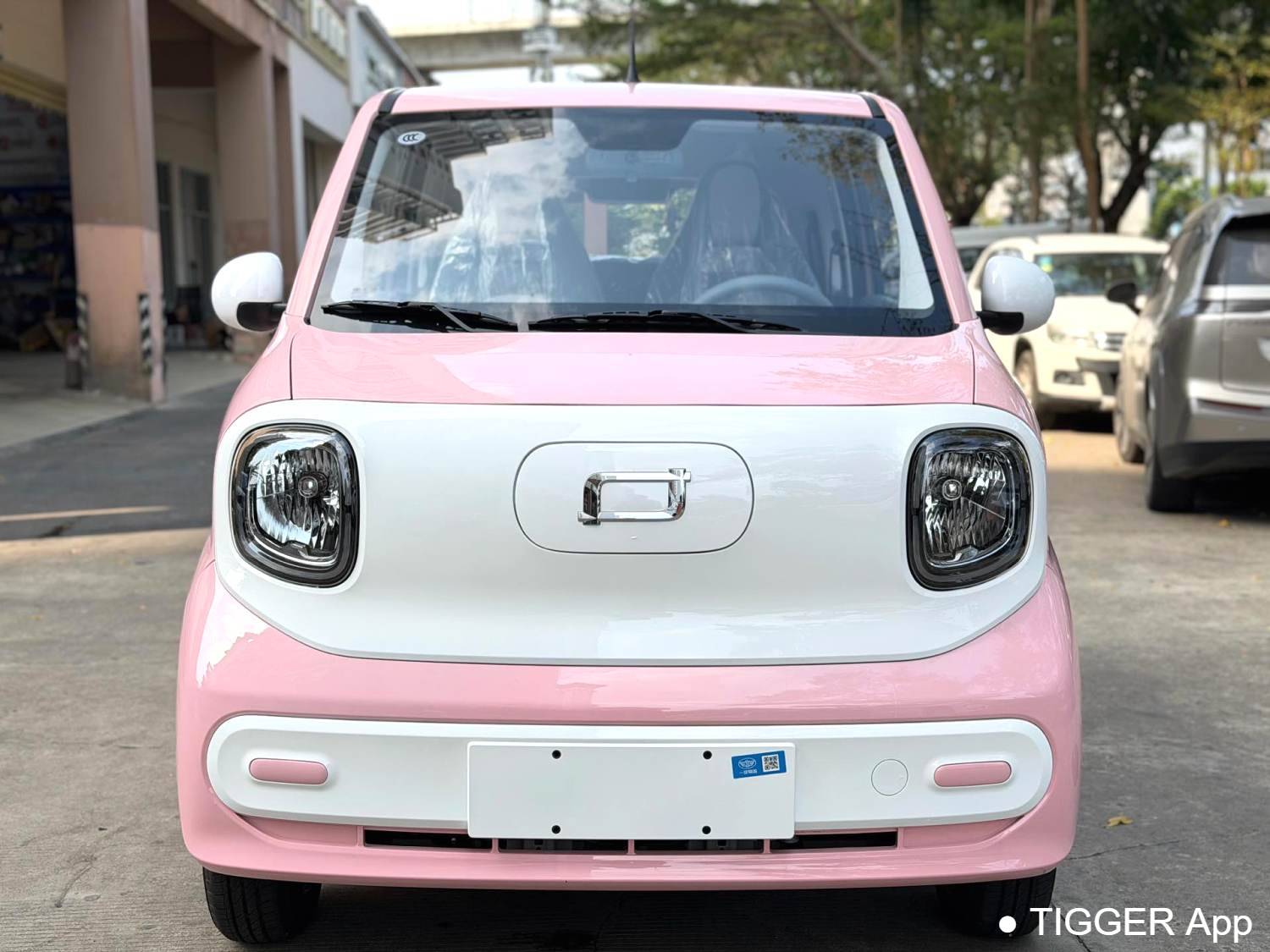 used BESTUNE 2026 Penteng Pony 222km Glorious Horse