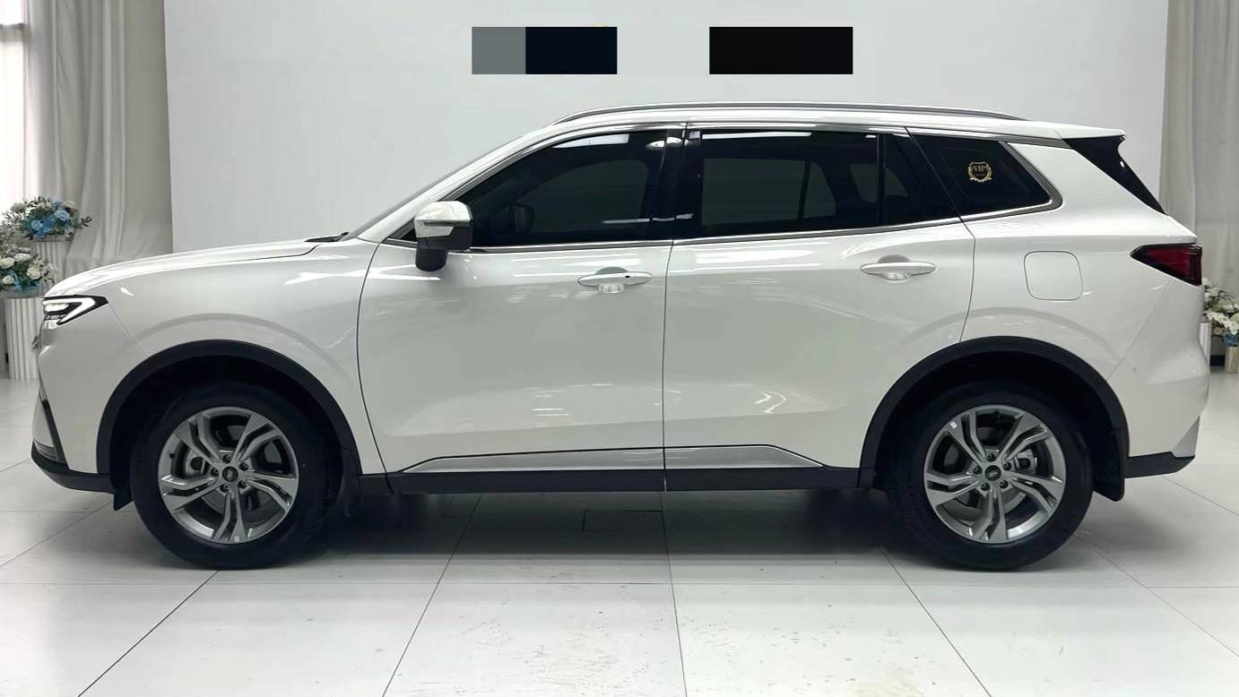 Ford 2023 Territory EcoBoost 170 fine collar model