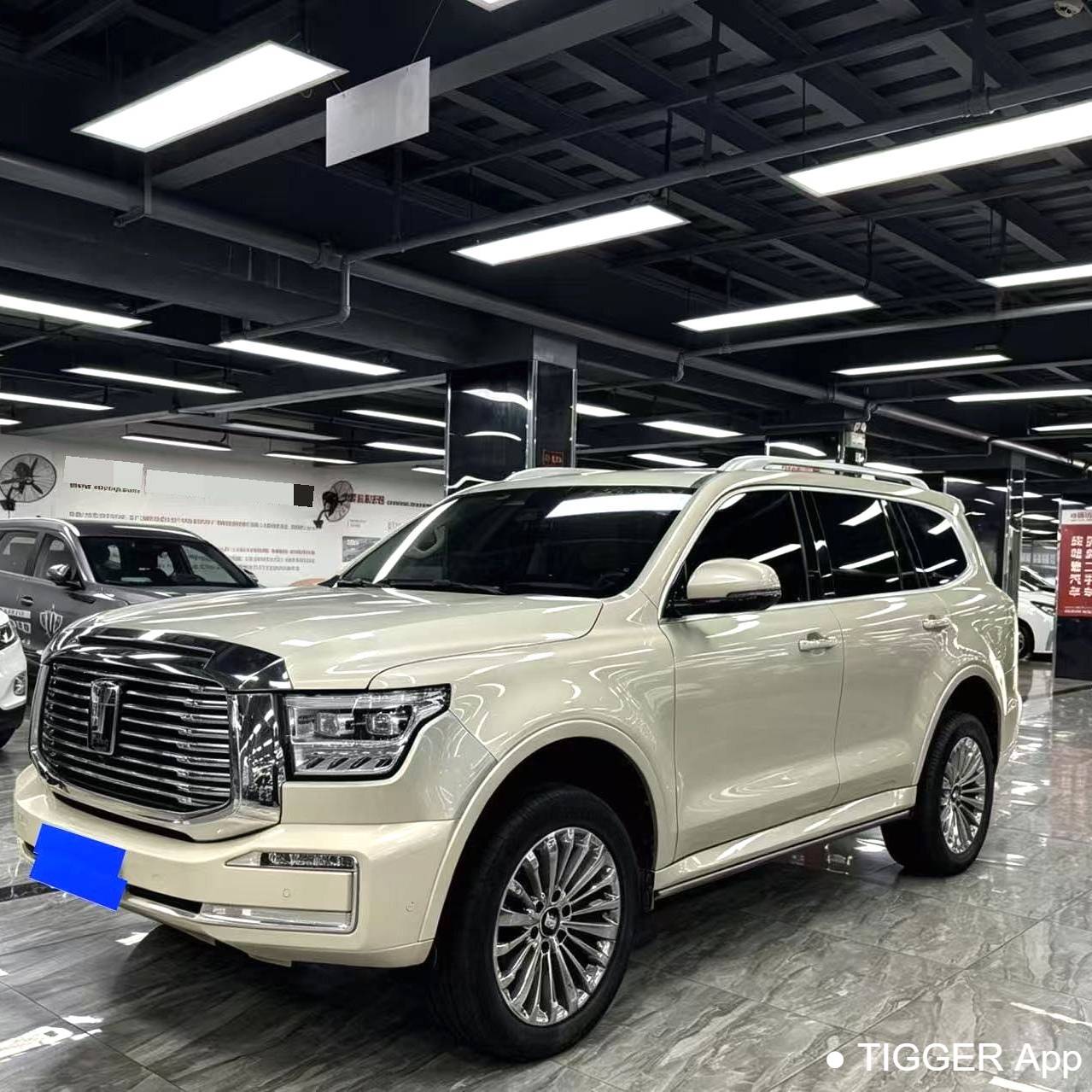 TANK 2022 500 3.0T Business Edition Built Environment 5 Seats Used Car