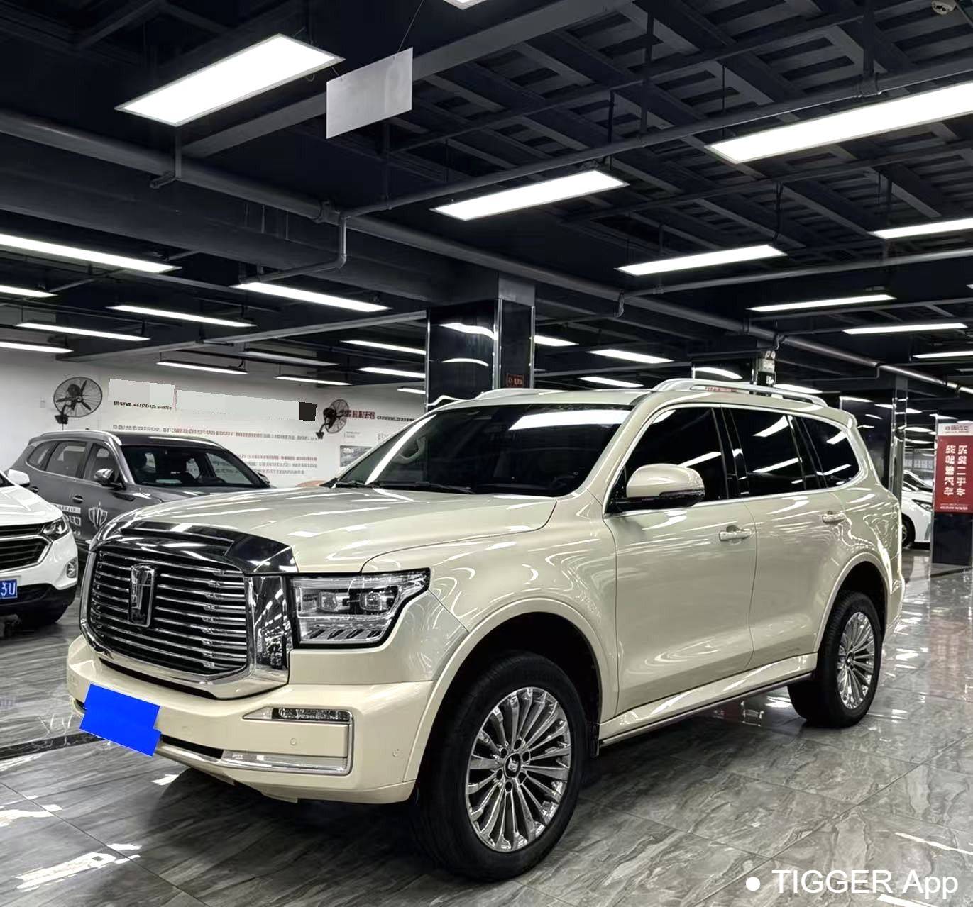 used TANK 2022 500 3.0T Business Edition Built Environment 5 Seats