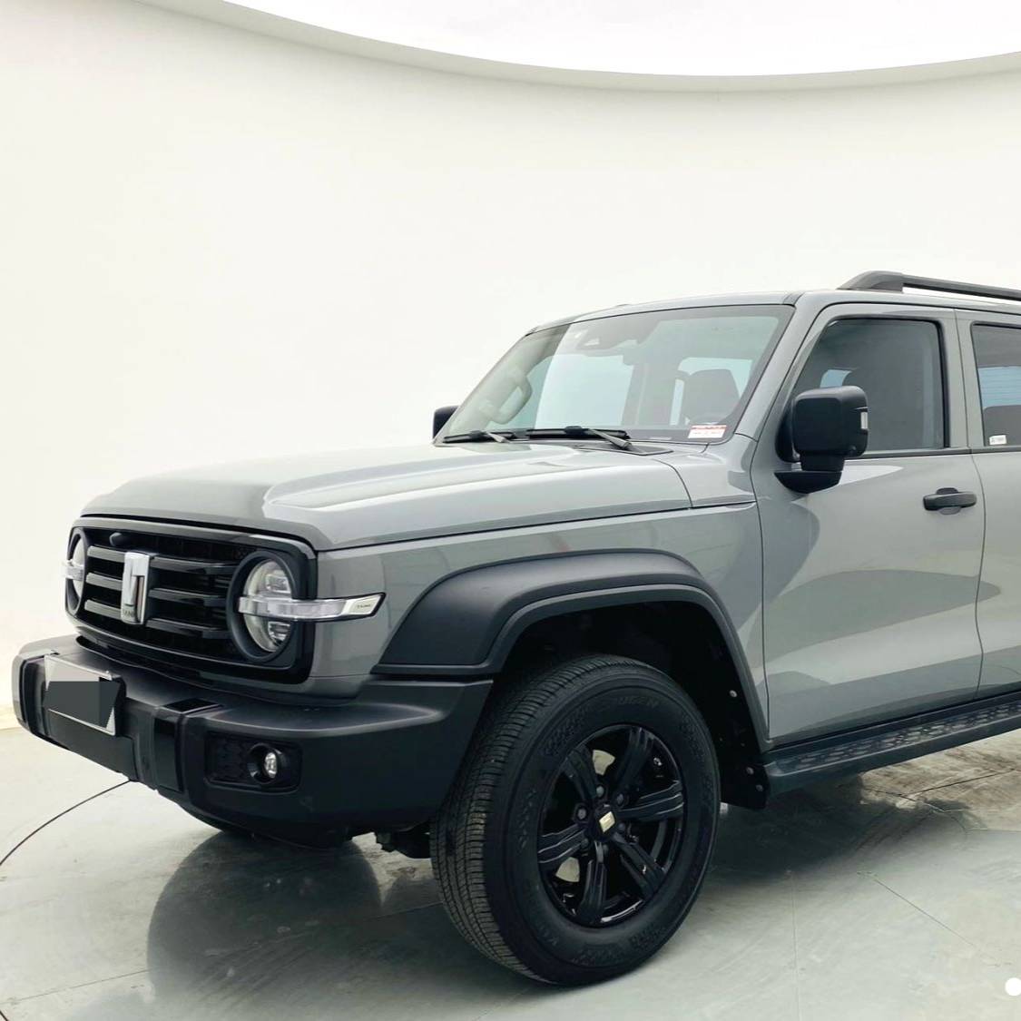 TANK 2023 300 Off road 2.0T Challenger Used Car