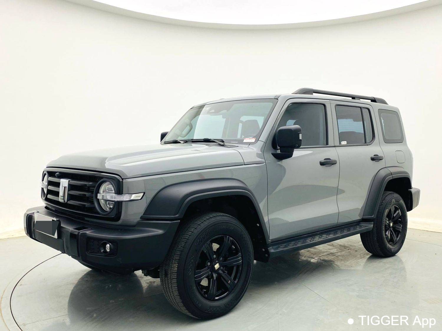 used TANK 2023 300 Off road 2.0T Challenger