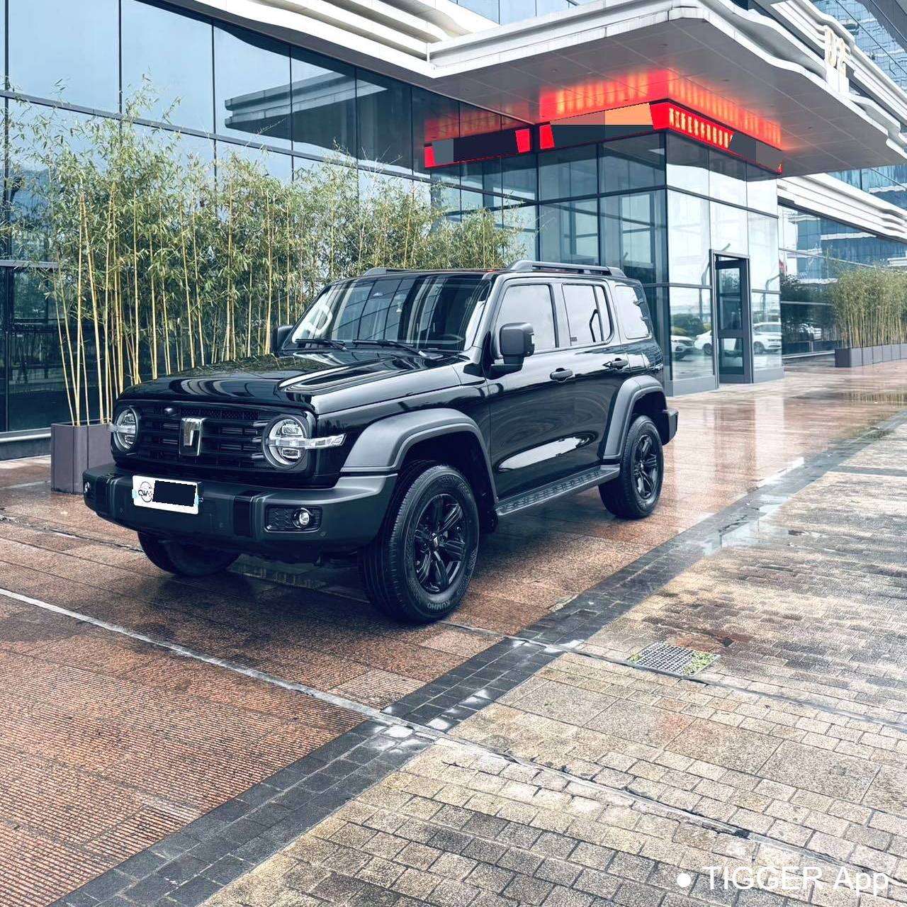 TANK 2024 300 2.0T Conqueror Used Car