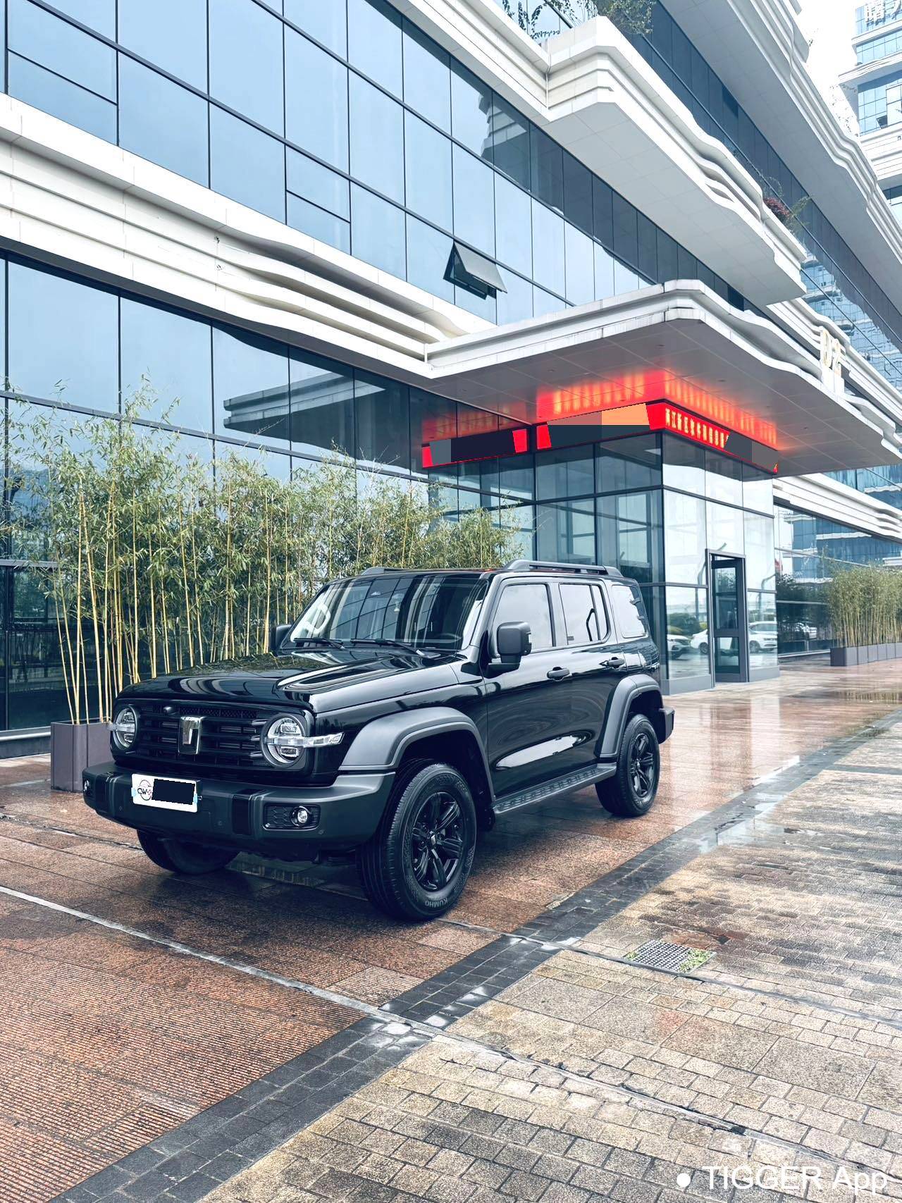 used TANK 2024 300 2.0T Conqueror