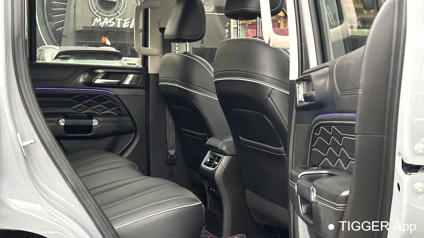 TANK 2023 300 The city version 2.0T is very stylish