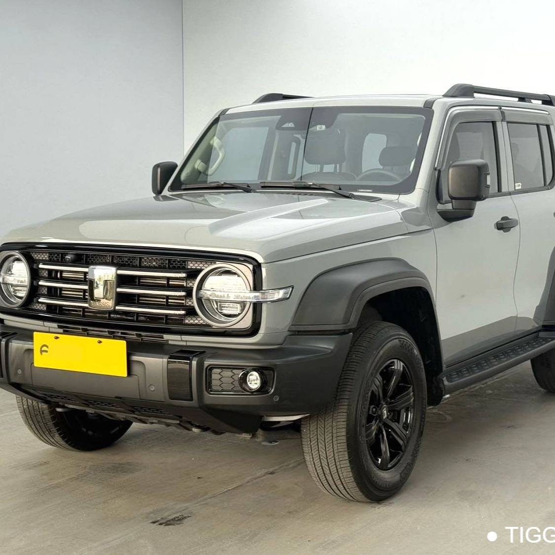 TANK 2023 300 Off road 2.0T Challenger Used Car