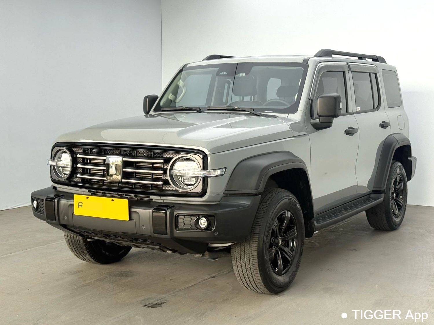 used TANK 2023 300 Off road 2.0T Challenger