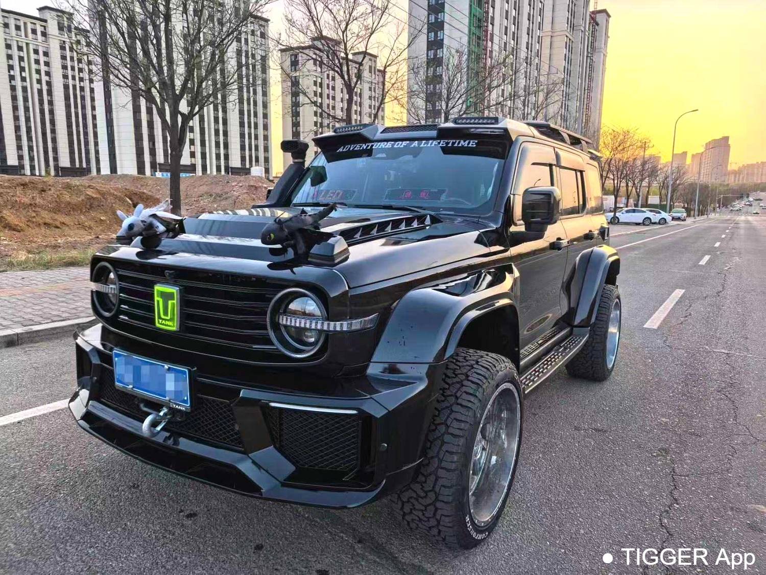 used TANK 2022 300 2.0T Tank Ranger