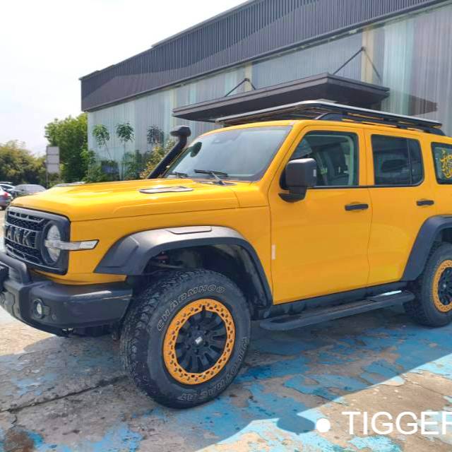 TANK 2022 300 2.0T Border Limited Edition Used Car