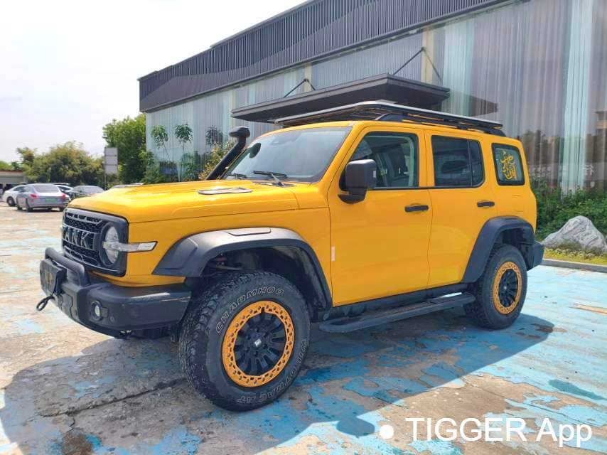 used TANK 2022 300 2.0T Border Limited Edition