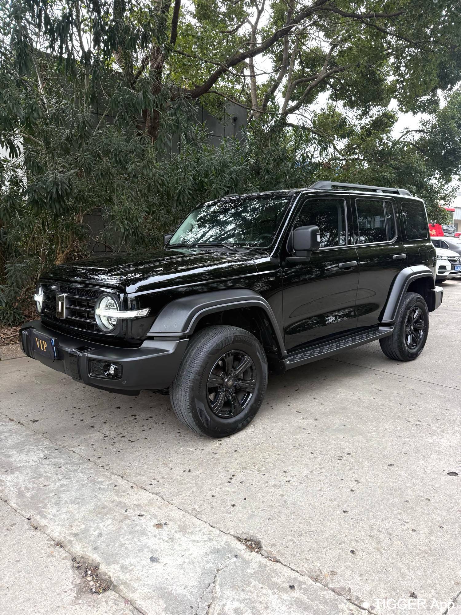 used TANK 2024 300 2.0T Challenger