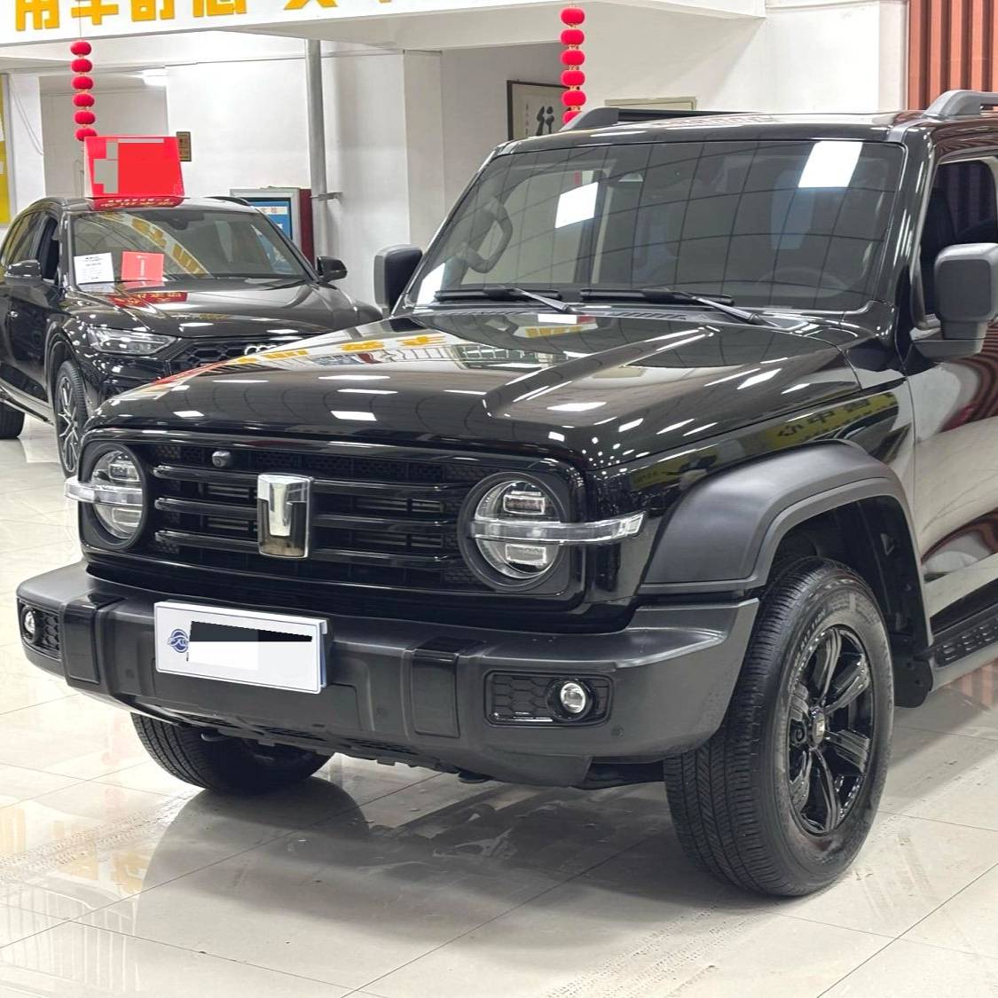 TANK 2024 300 2.0T Conqueror Used Car