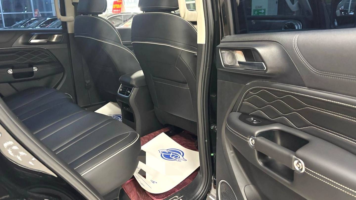 TANK 2024 300 2.0T Conqueror