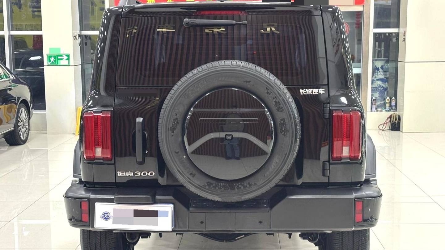 TANK 2024 300 2.0T Conqueror