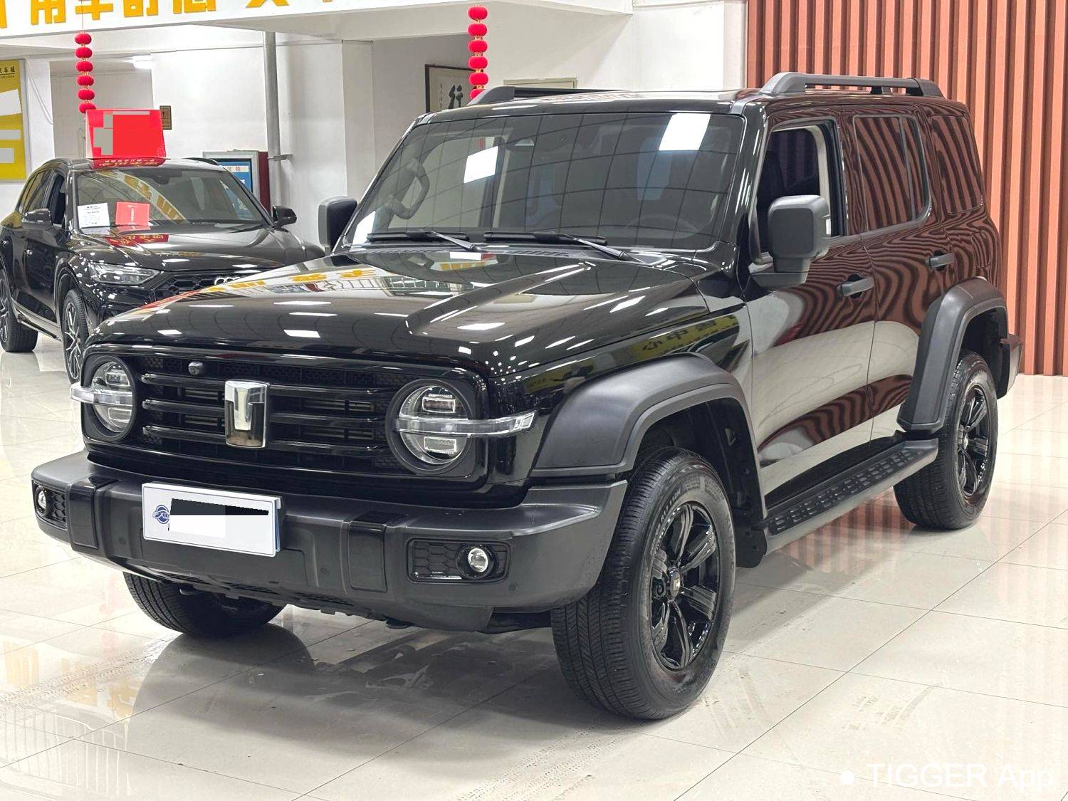 used TANK 2024 300 2.0T Conqueror