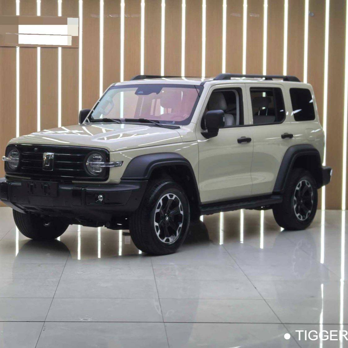 TANK 2025 300 Hi4-T 36.7kWh Used Car