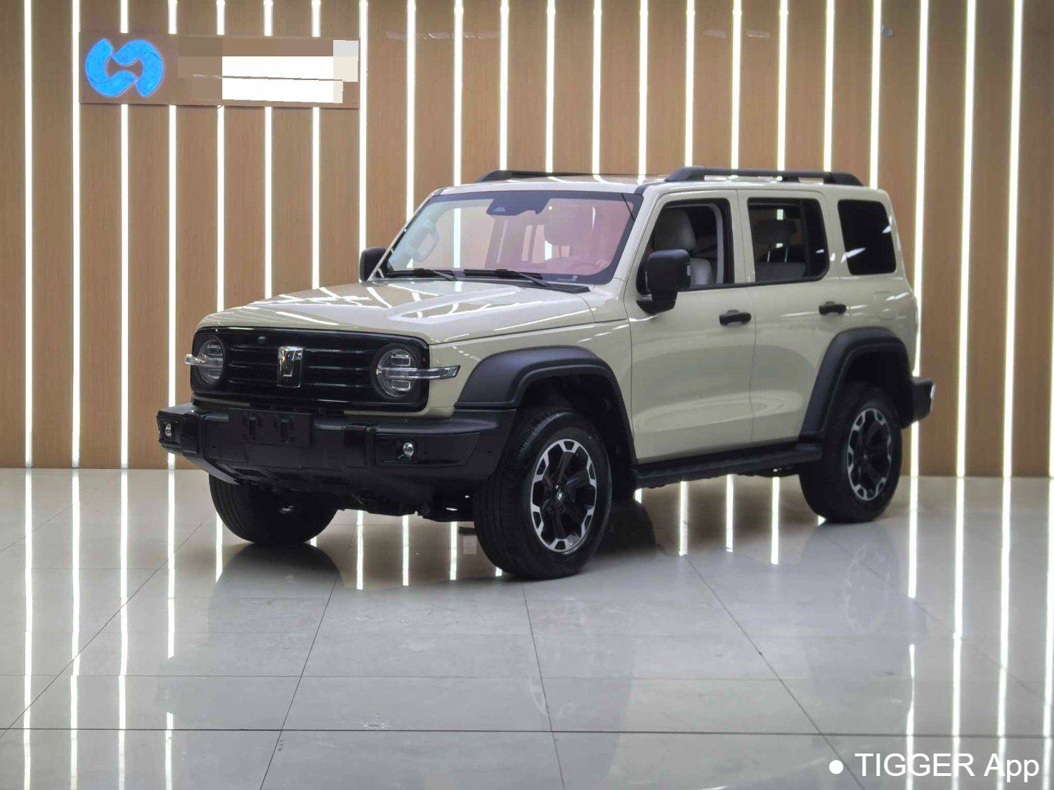 used TANK 2025 300 Hi4-T 36.7kWh