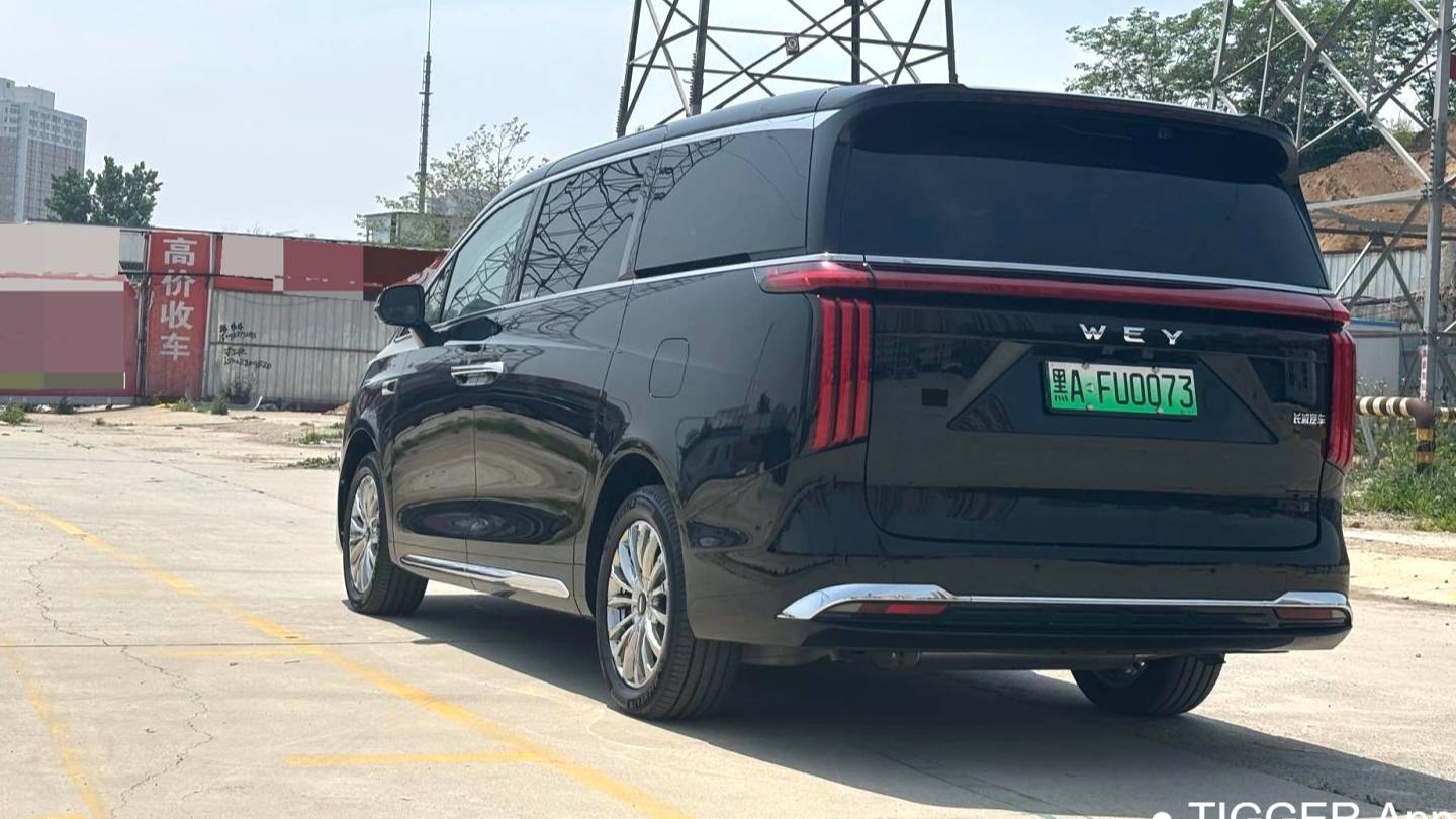 WEY 2025 WEY 80 Four wheel drive high mountain 8