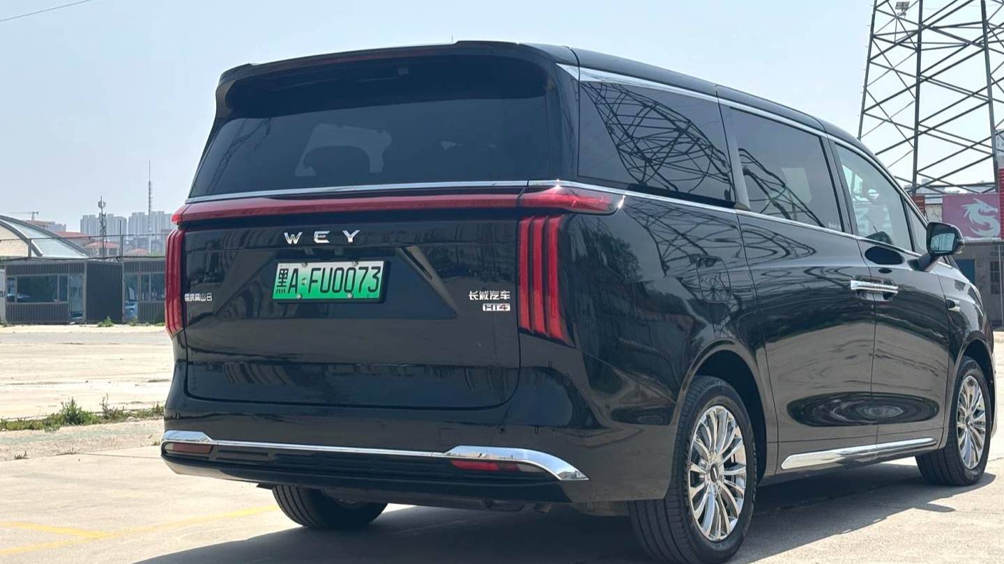 WEY 2025 WEY 80 Four wheel drive high mountain 8