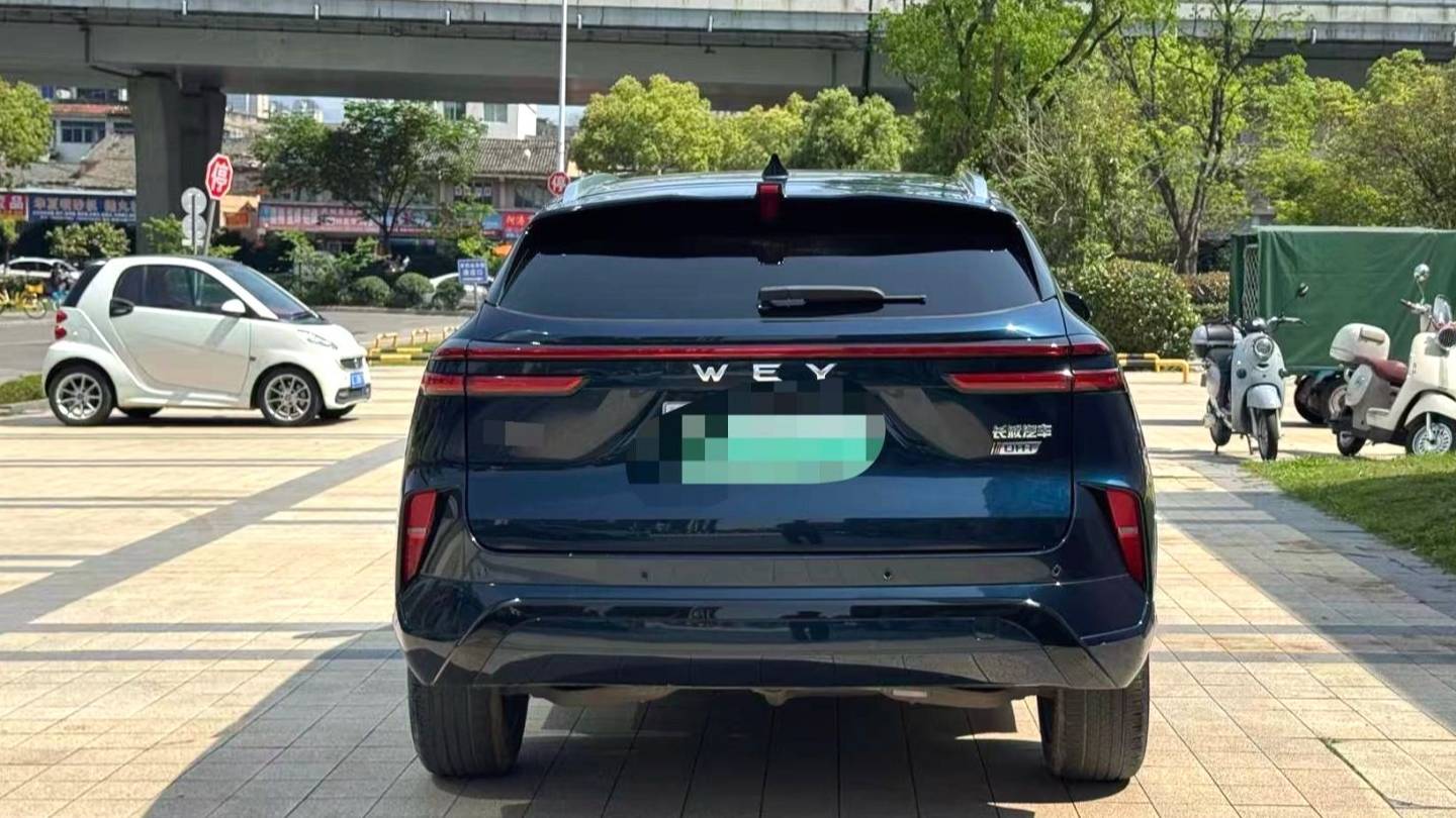 WEY 2022 Coffee 01 Two wheel drive long endurance version