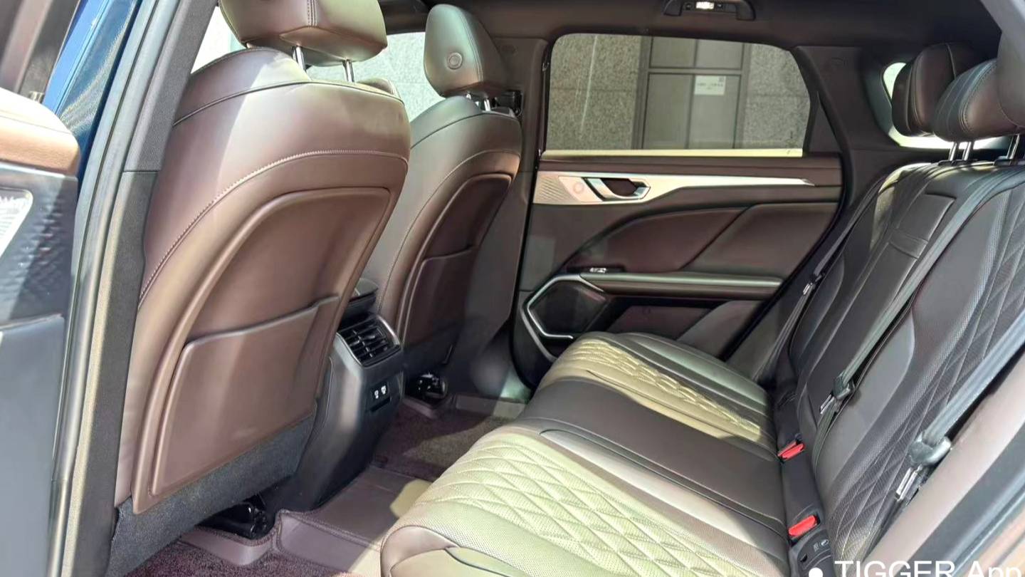 WEY 2022 Coffee 01 Two wheel drive long endurance version