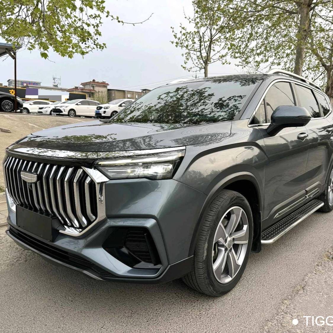 Geely 2023 Okavango 2.0T DCT flagship model 二手车