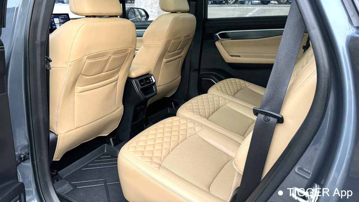 Geely 2023 Okavango 2.0T DCT flagship model