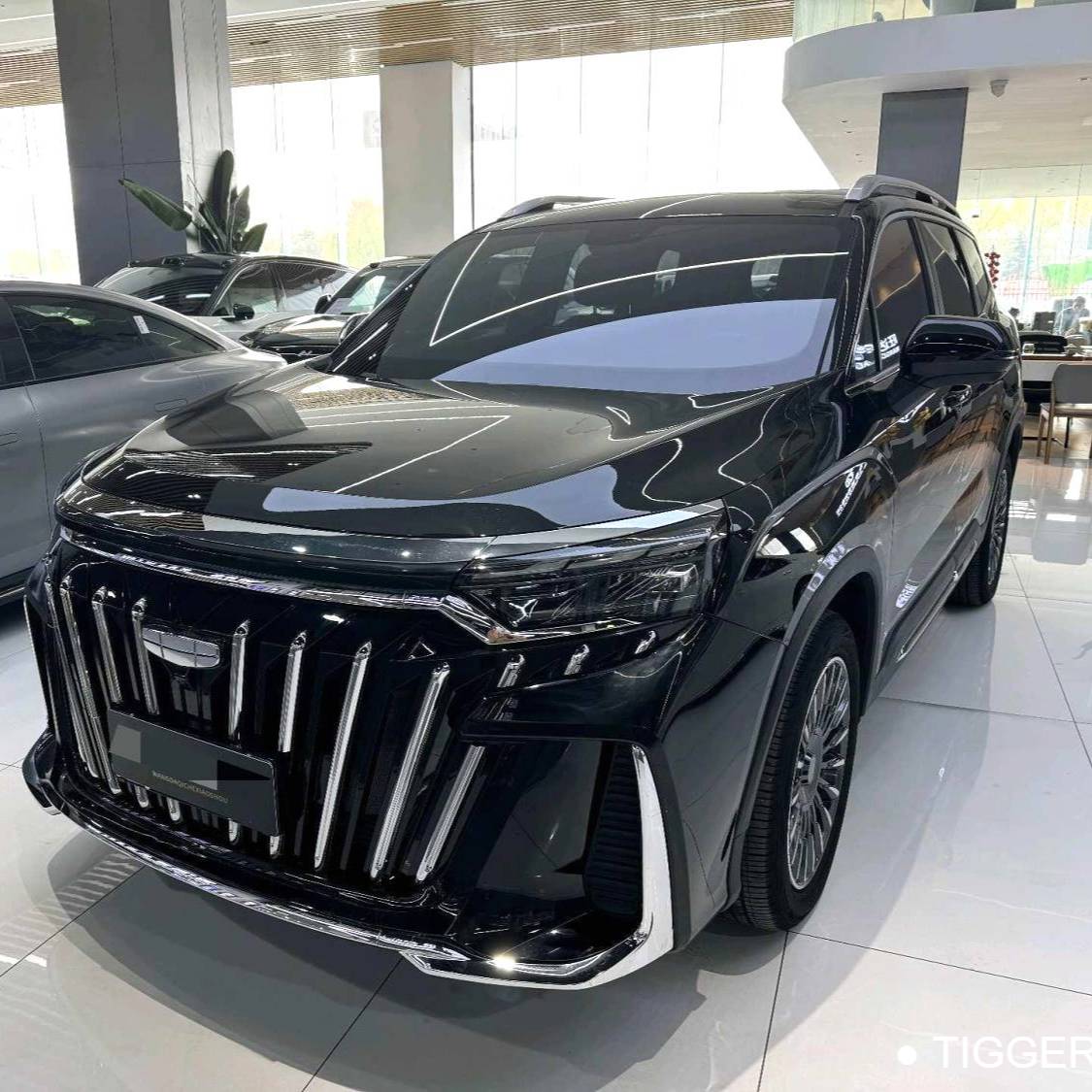 Geely 2025 Okavango 2.0T DCT Premium Edition 二手车