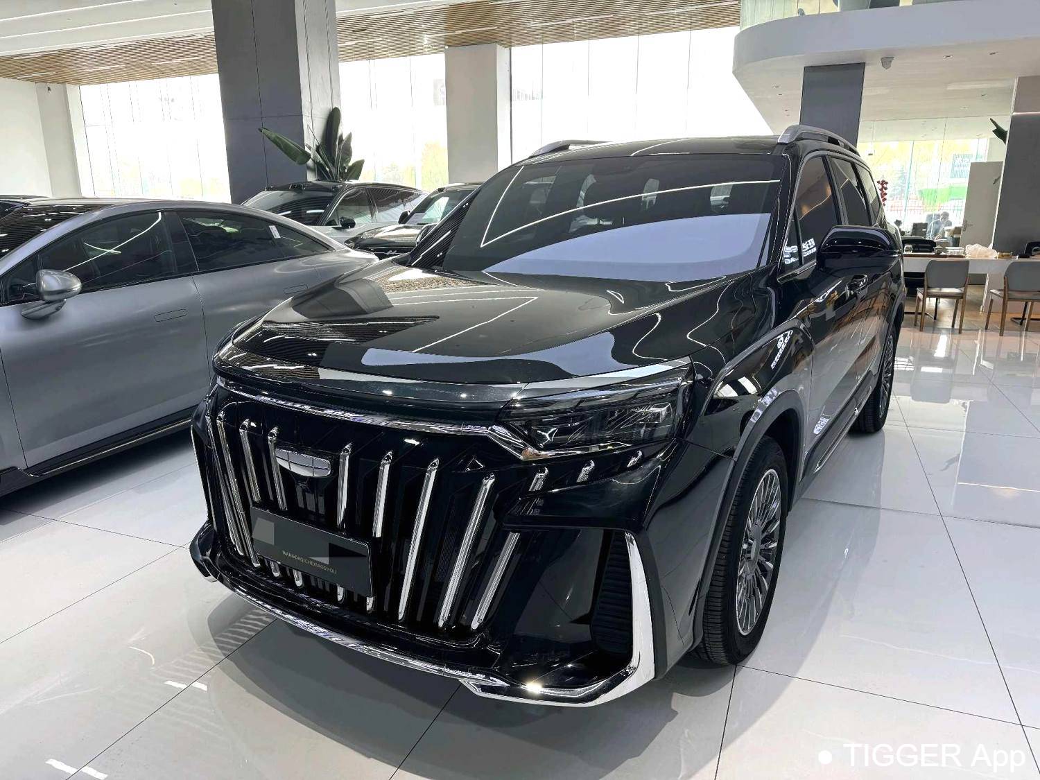 used Geely 2025 Okavango 2.0T DCT Premium Edition