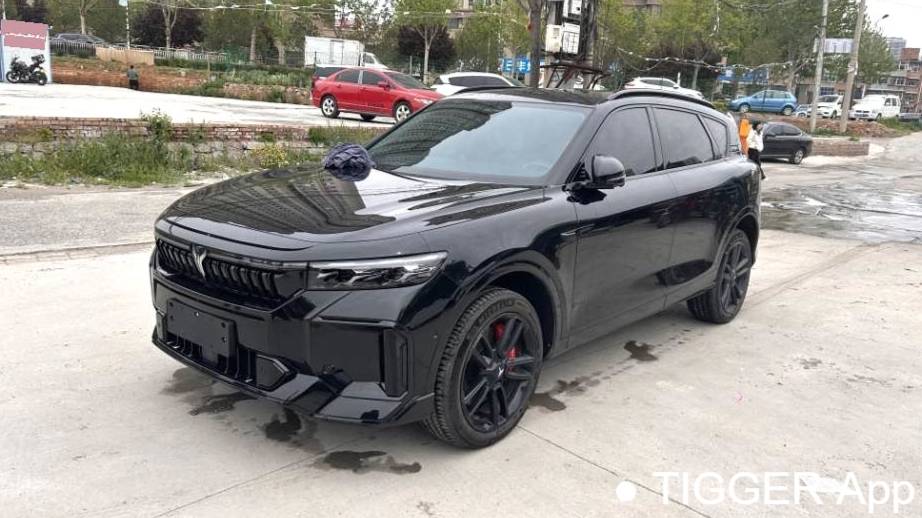 VOYAH 2025 FREE 318 259km four-wheel drive exploration version