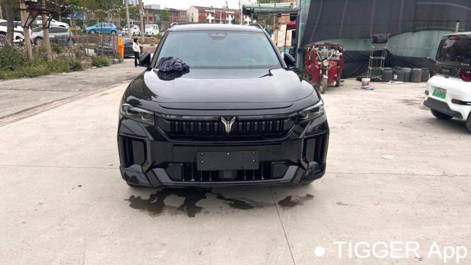 VOYAH 2025 FREE 318 259km four-wheel drive exploration version