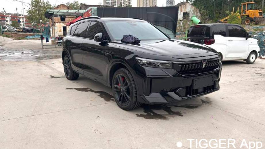 VOYAH 2025 FREE 318 259km four-wheel drive exploration version